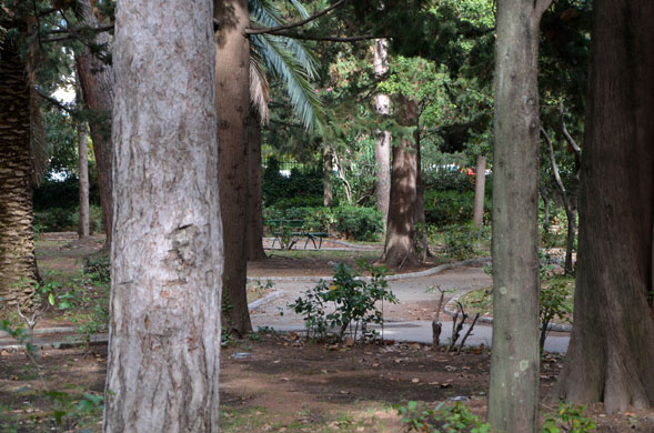 Парк за дворцом короля Николы I